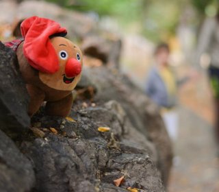 13/14/15 DESEMBRE - A LA RECERCA DEL TIÓ AL BOSC DEL JOU NATURE