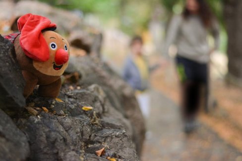 13/14/15 DESEMBRE - A LA RECERCA DEL TIÓ AL BOSC DEL JOU NATURE