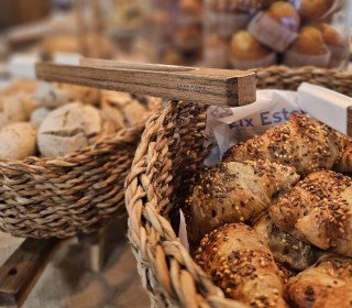 13/14/15 DESEMBRE - A LA RECERCA DEL TIÓ AL BOSC DEL JOU NATURE