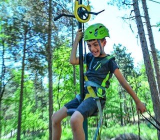 28/29/30 DE NOVEMBRE - A LA RECERCA DEL TIÓ AL BOSC DEL JOU NATURE