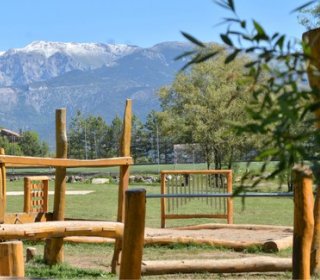 28/29/30 DE NOVEMBRE - A LA RECERCA DEL TIÓ AL BOSC DEL JOU NATURE