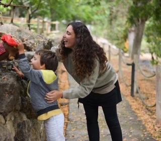 13/14/15 DESEMBRE - A LA RECERCA DEL TIÓ AL BOSC DEL JOU NATURE