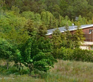 13/14/15 DESEMBRE - A LA RECERCA DEL TIÓ AL BOSC DEL JOU NATURE