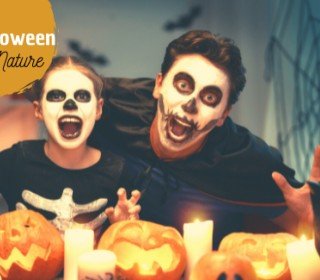 CASTAHALLOWEEN AT JOU NATURE - October 31 to November 2