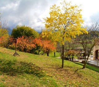 October 11/12, 2025. Autumn with the family! Family getaway to Berguedà