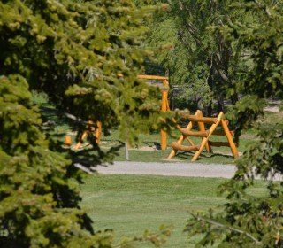 28/29/30 DE NOVIEMBRE - EN BUSCA DEL TIÓN EN EL BOSQUE DEL JUEVO NATURE