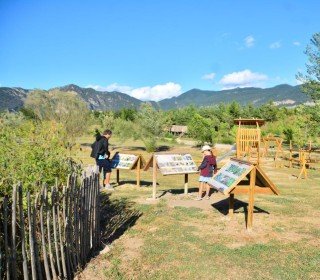 13/14/15 DICIEMBRE - EN BUSCA DEL TIÓN EN EL BOSQUE DEL JUEVO NATURE