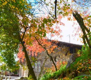 POST CASTAHALLOWEEN EN EL JOU NATURE 9/10 DE NOVIEMBRE