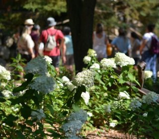 21/22 SEPTEMBRE 2024, BIENVENUE À L'AUTOMNE