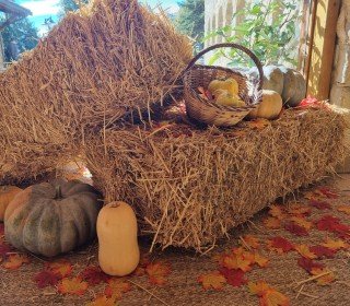 POST DE CASTAHALLOWEEN CHEZ JOU NATURE LE 7/8/9 NOVEMBRE